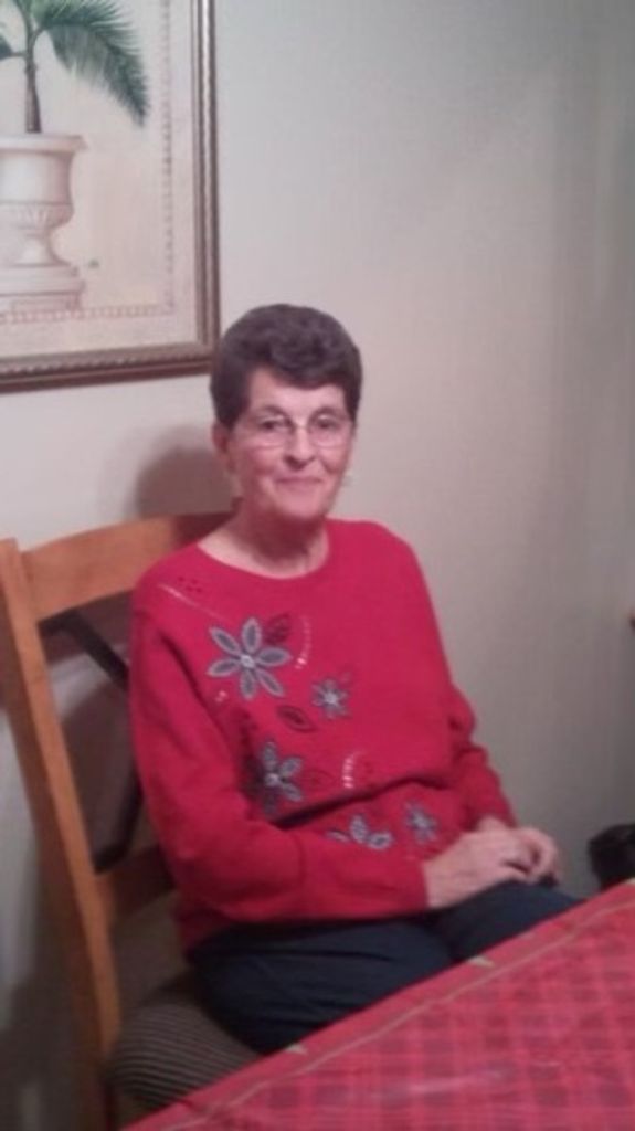 Sue Fallis Profile Photo