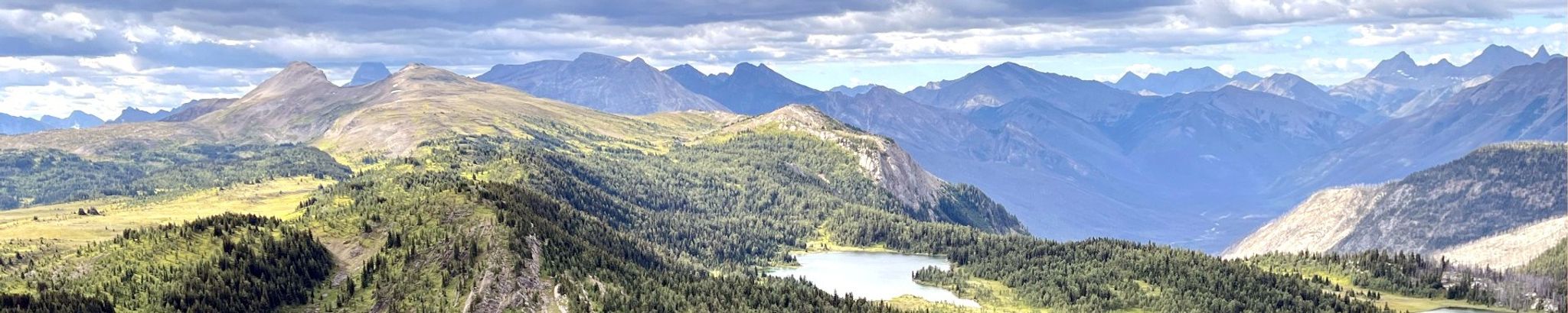 Cover for Miles Matthews's Obituary