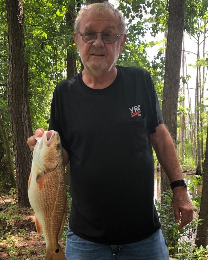 R.F. "Bill" Millsaps Profile Photo