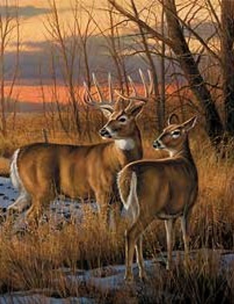 Ray Gilbert Brill Profile Photo