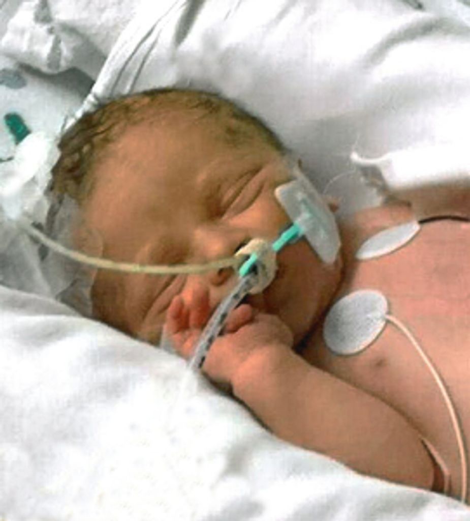 Chase Ryan Elmendorf