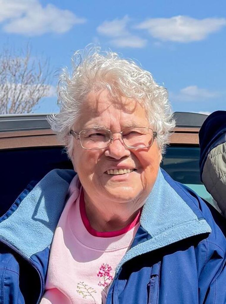 Patricia Ann (Dumas)  Schwartz