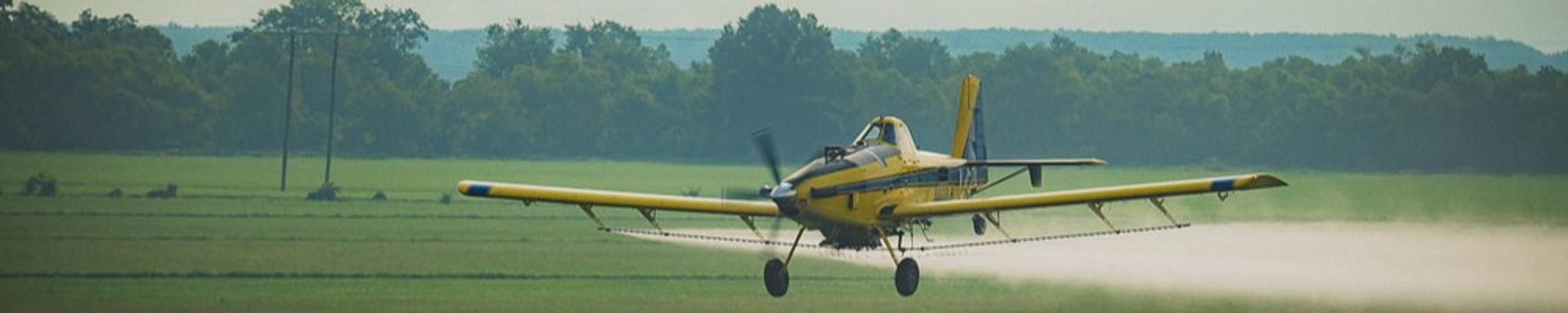 Cover for Elijah Herbison's Obituary