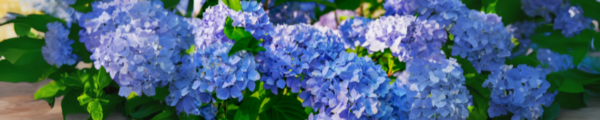 Cover photo for Dianne Kay Simpson's Obituary