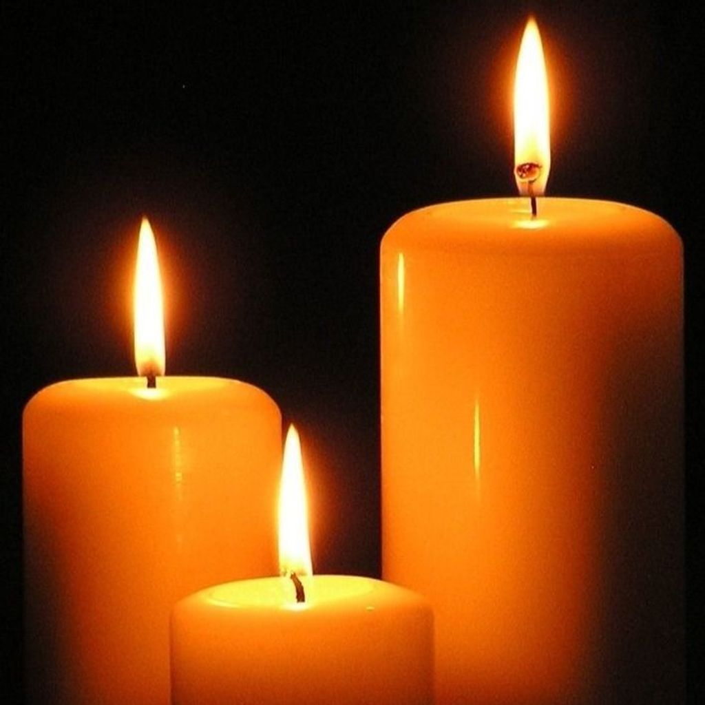 Tammy L. Metz Profile Photo