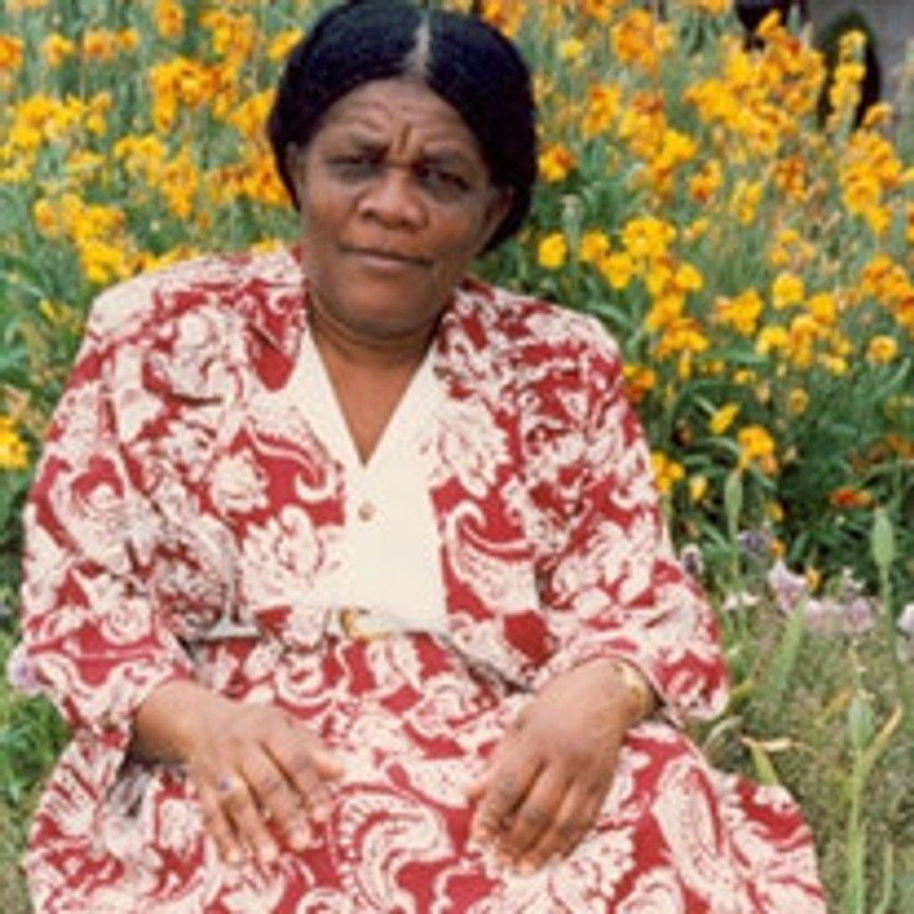 Jeanine Melibee Bolometre