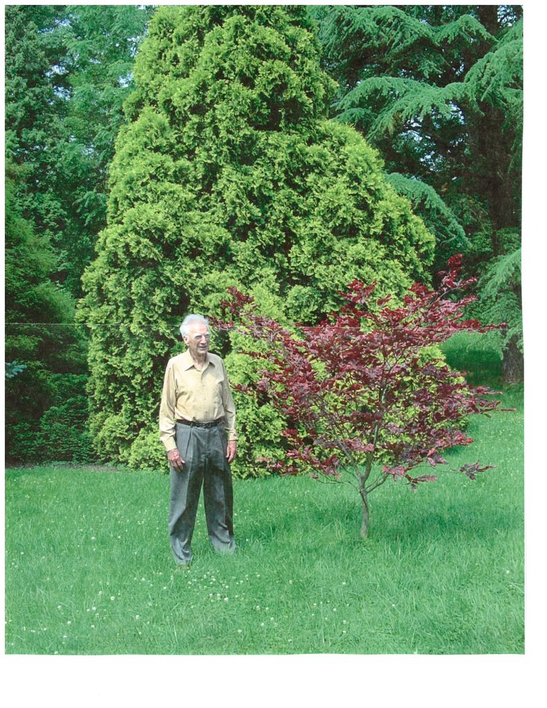 Vincent A. Pauly Profile Photo