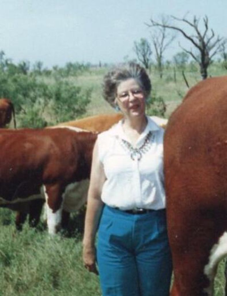 Nan Clark Profile Photo