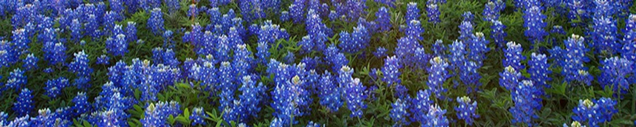 Cover photo for Carolyn Janet Greathouse's Obituary