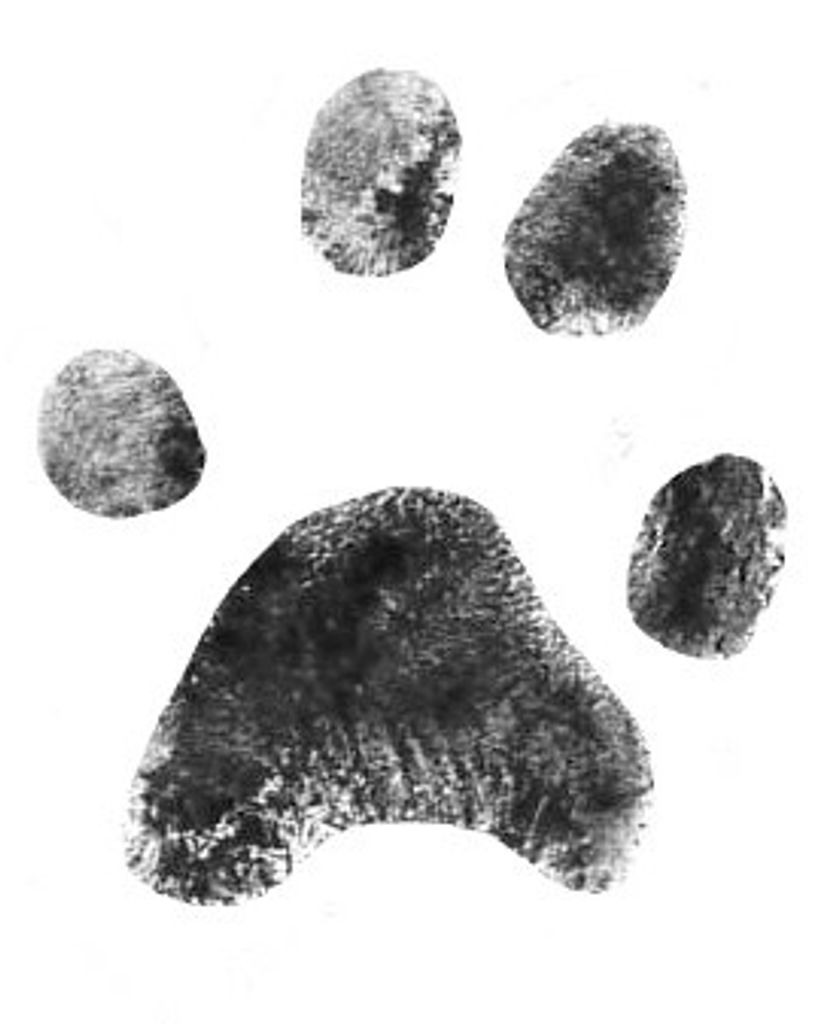 Minnie Johnson Profile Photo