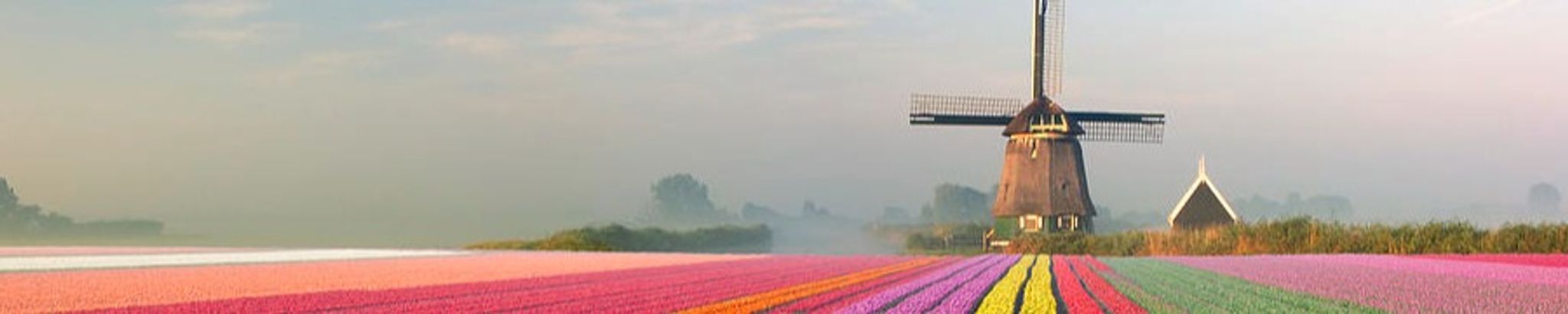 Cover photo for Douwe DeJong "Don"'s Obituary