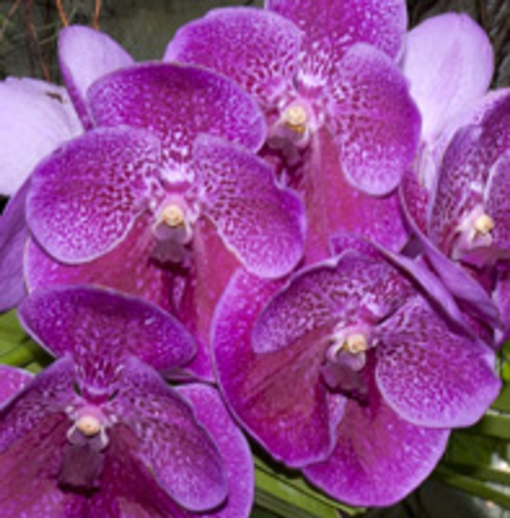 Catherine M. Talley Profile Photo