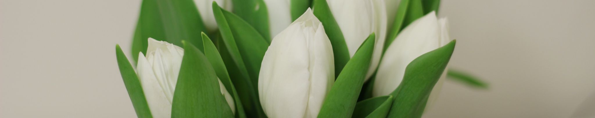 Cover photo for Ronald Wayne "Rollo" Wood's Obituary