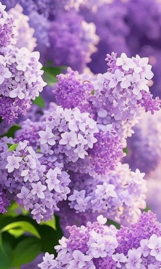 Patricia Herbest Davis