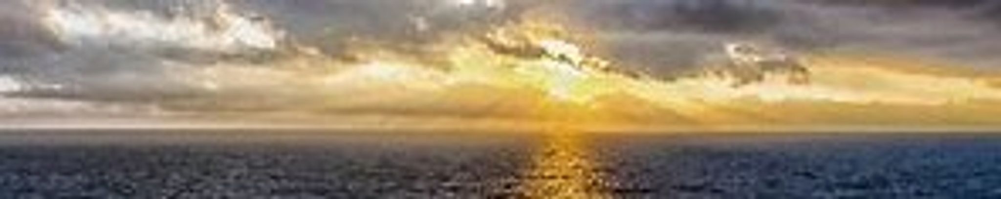 Cover photo for Candice M. Cobbs's Obituary