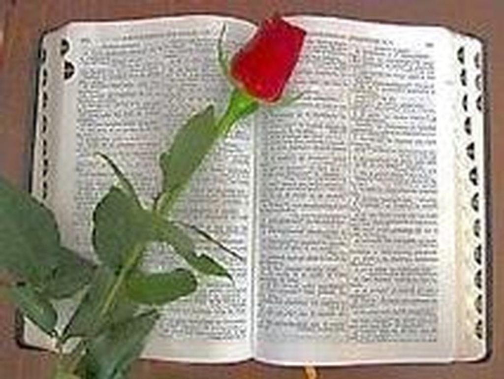 Pauline Parker Profile Photo