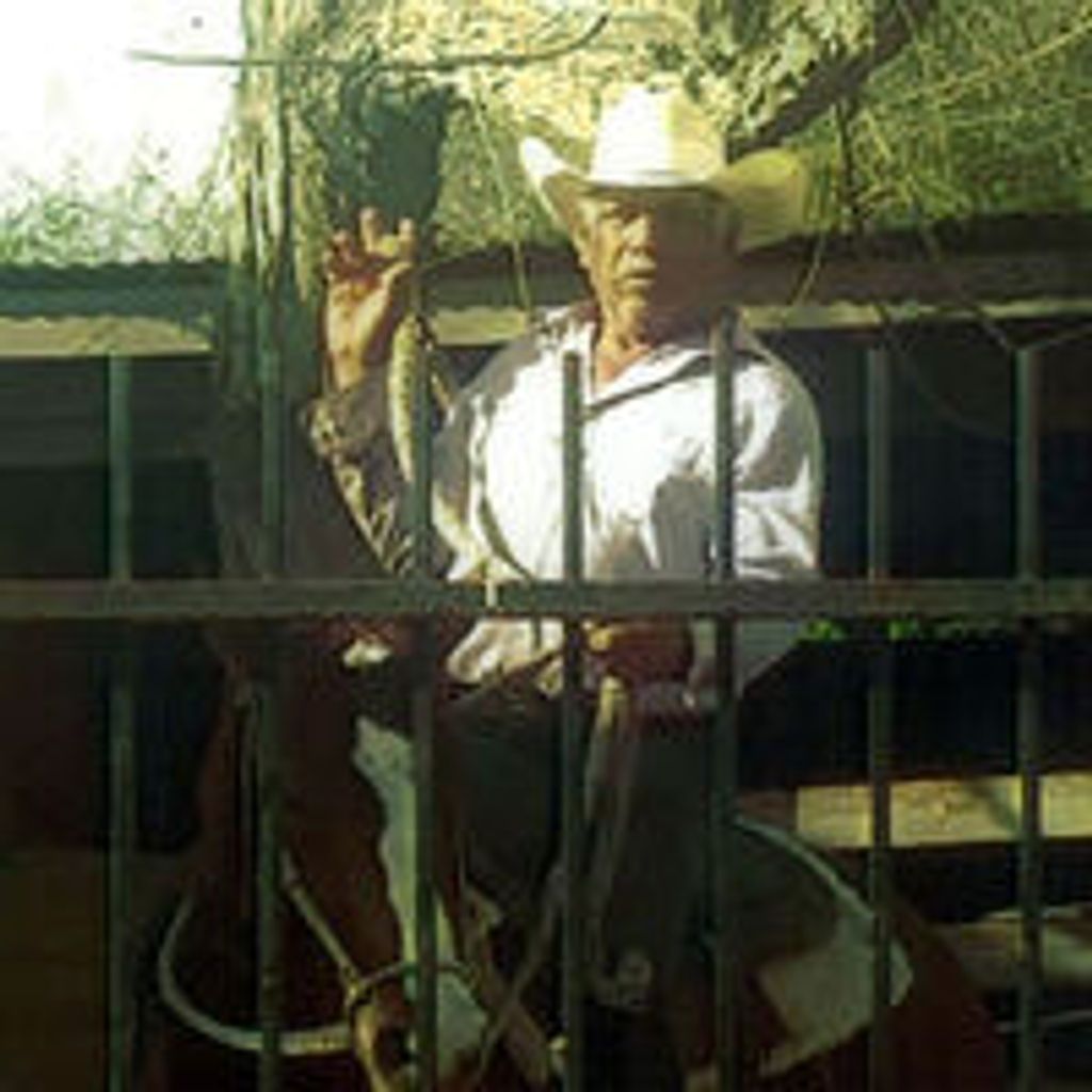 Romaldo Garcia Herrera