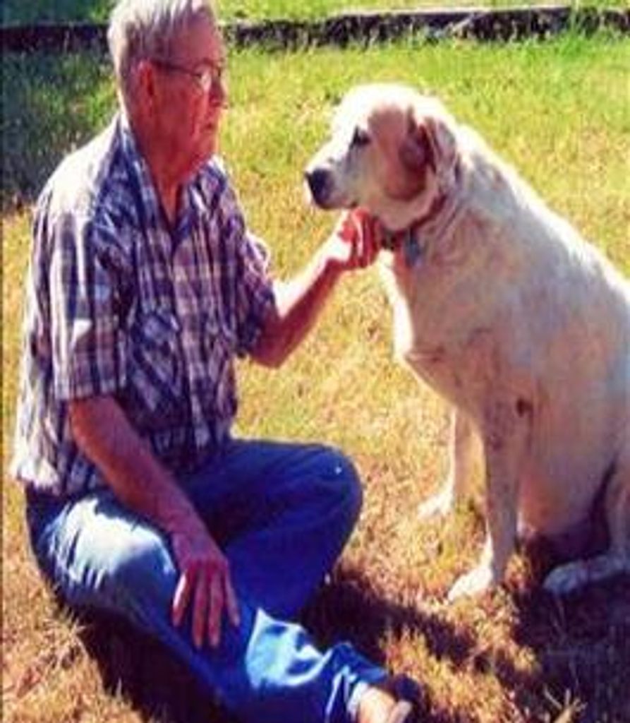 Henry Sylvester Profile Photo