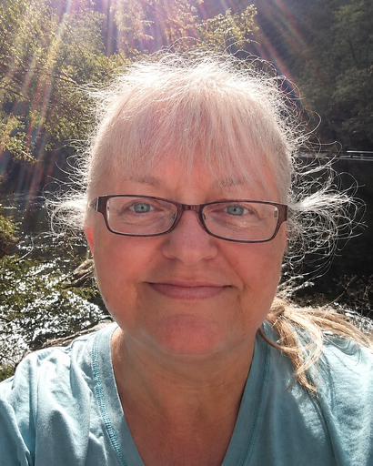 Lisa Darlene Rosenbalm's obituary image