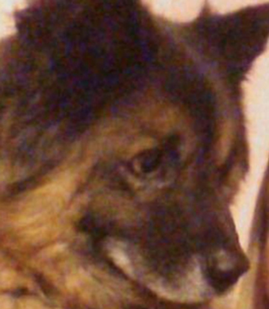 Uno Parry Profile Photo