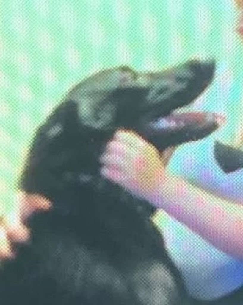 Bear Payne Profile Photo