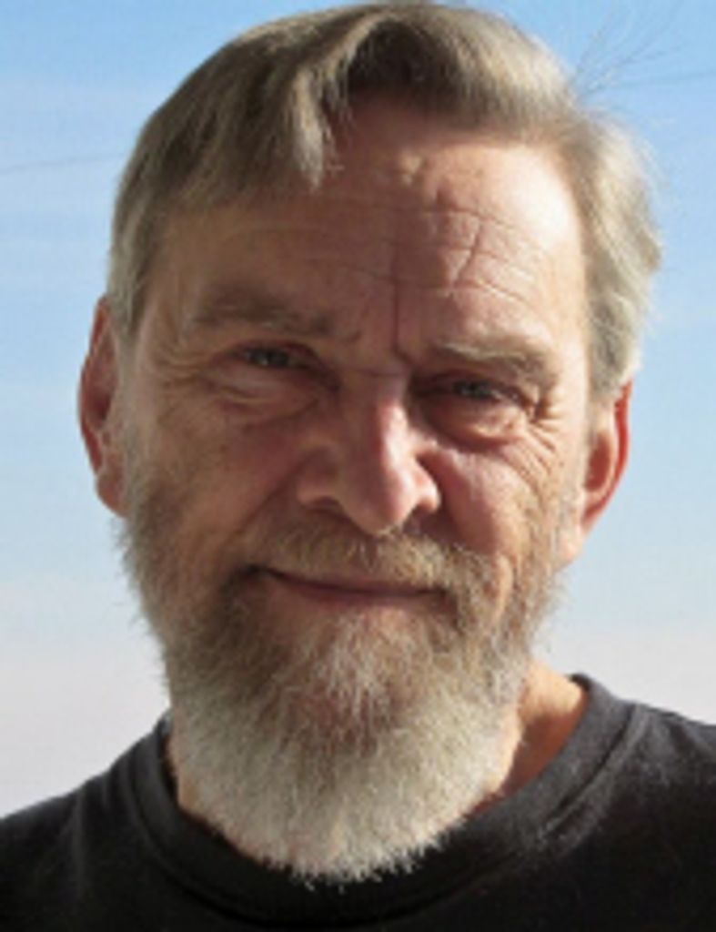 David A. Fuller