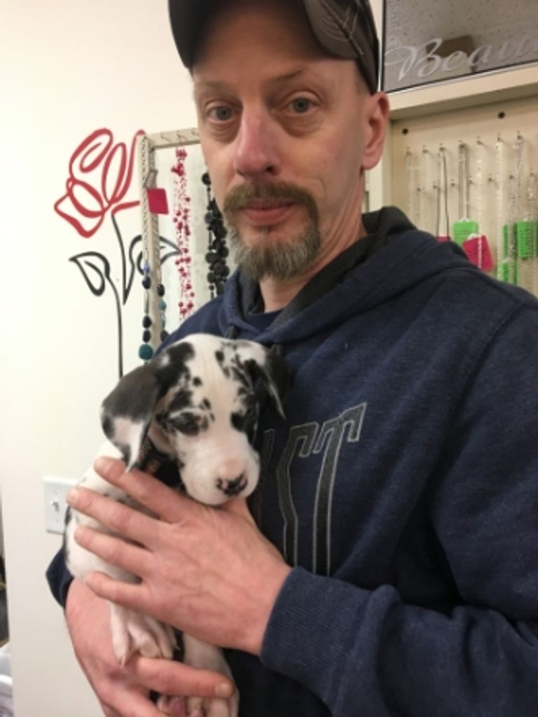 Jeffrey Jack Beagle