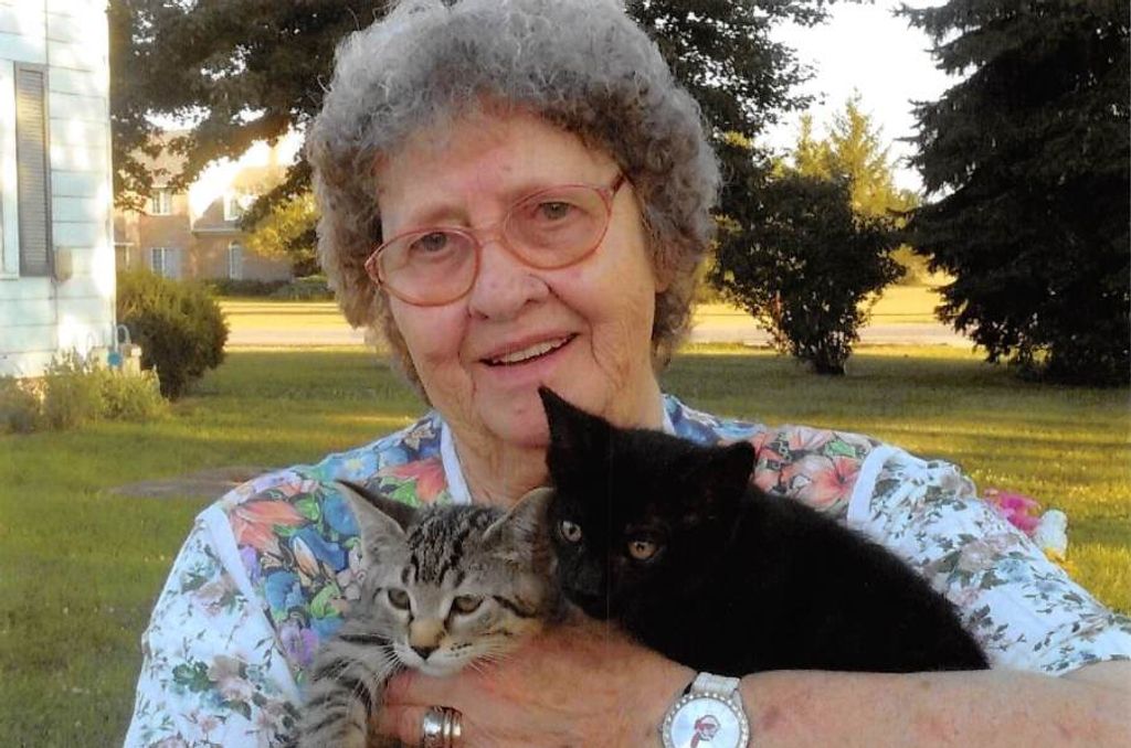 Peggy Ann (Snider)  Higgins