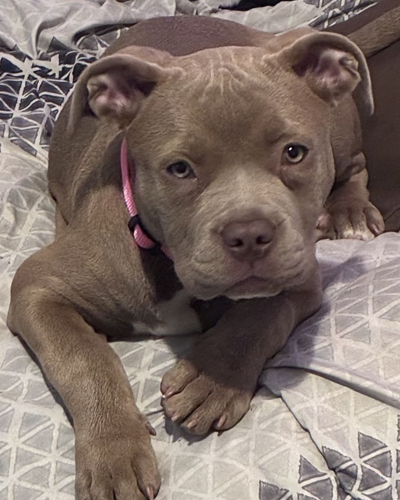 Louis Zoey V Cropper Profile Photo