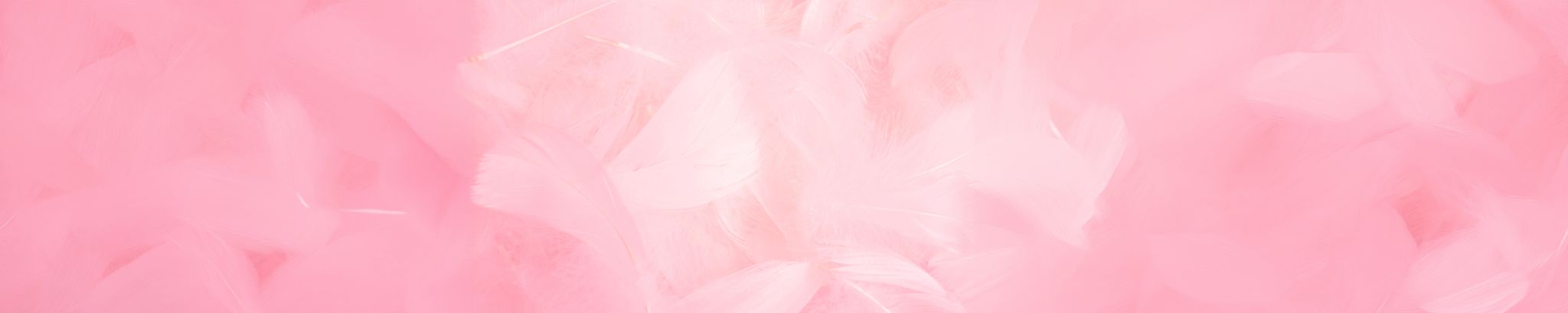 Cover for Cecelia Aranda Palmarez's Obituary