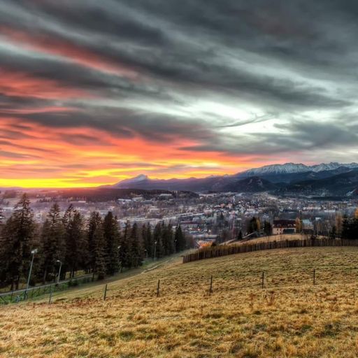 Arkadiuz Regner Profile Photo