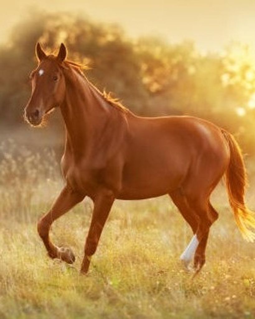 Bill Johnson Profile Photo