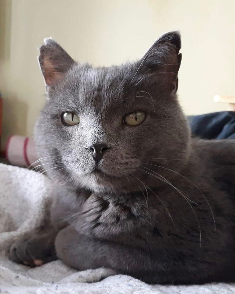 Lester Profile Photo
