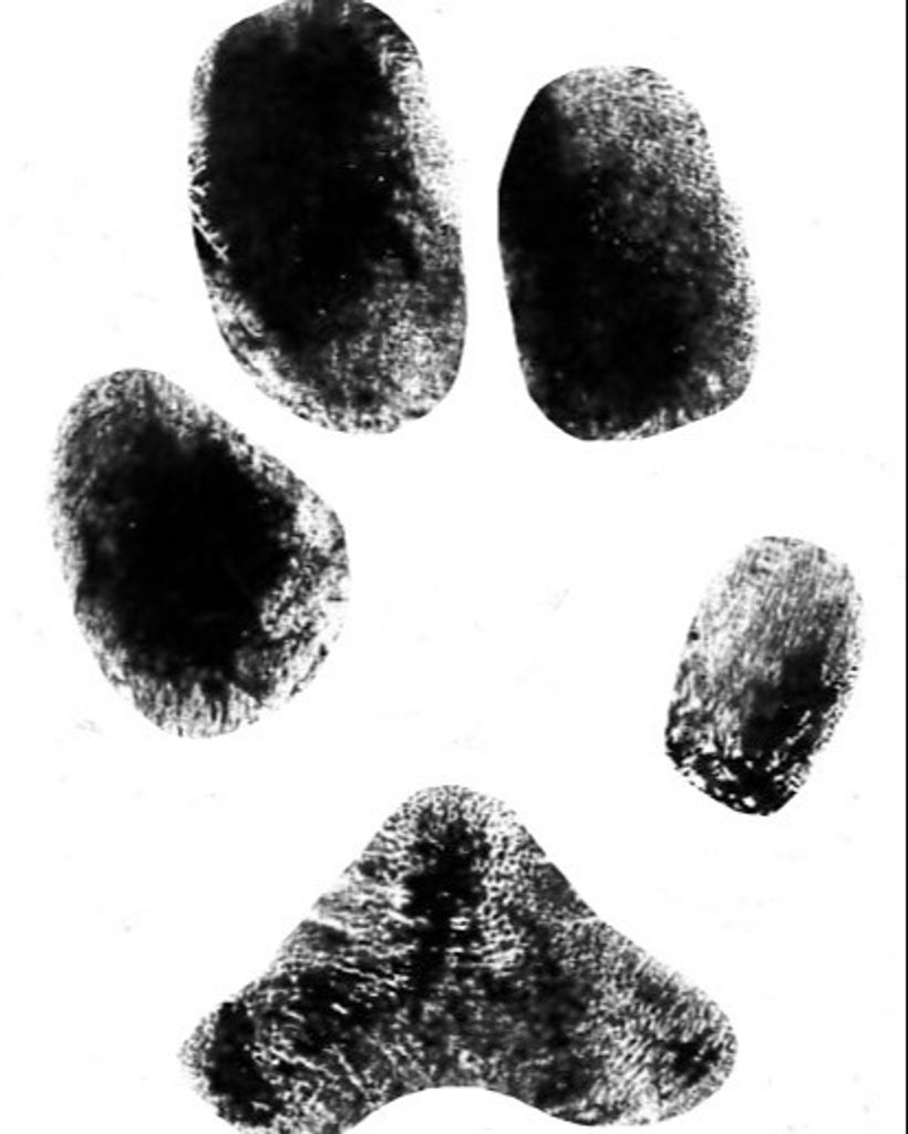 Lucy Walker Profile Photo