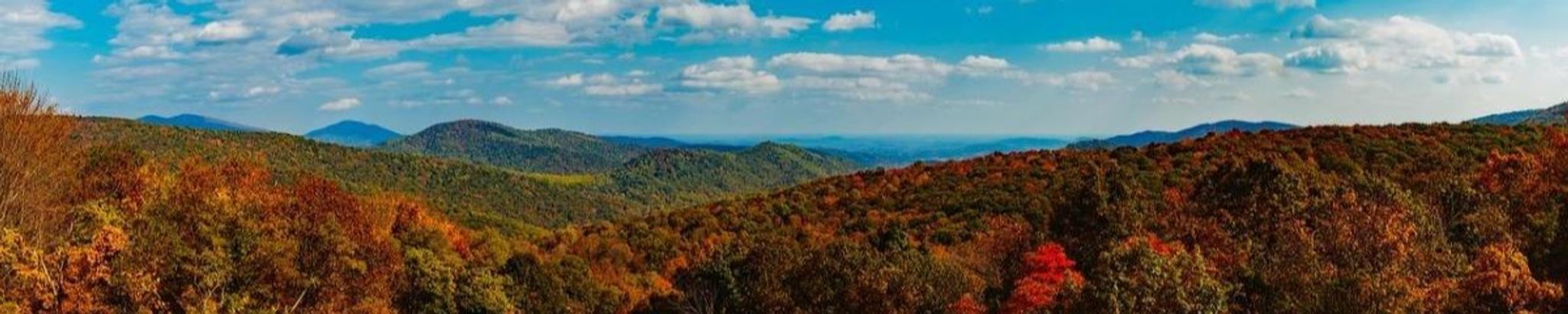 Cover photo for Larry D. Wills's Obituary