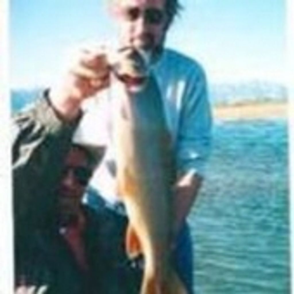 Harry Michael Coleman