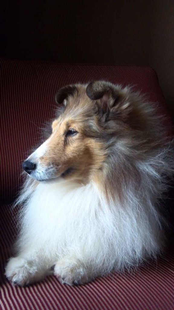 Bryan John Borchardt