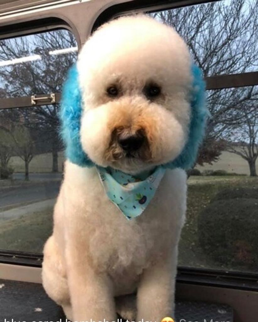 Bentley Stewart Profile Photo