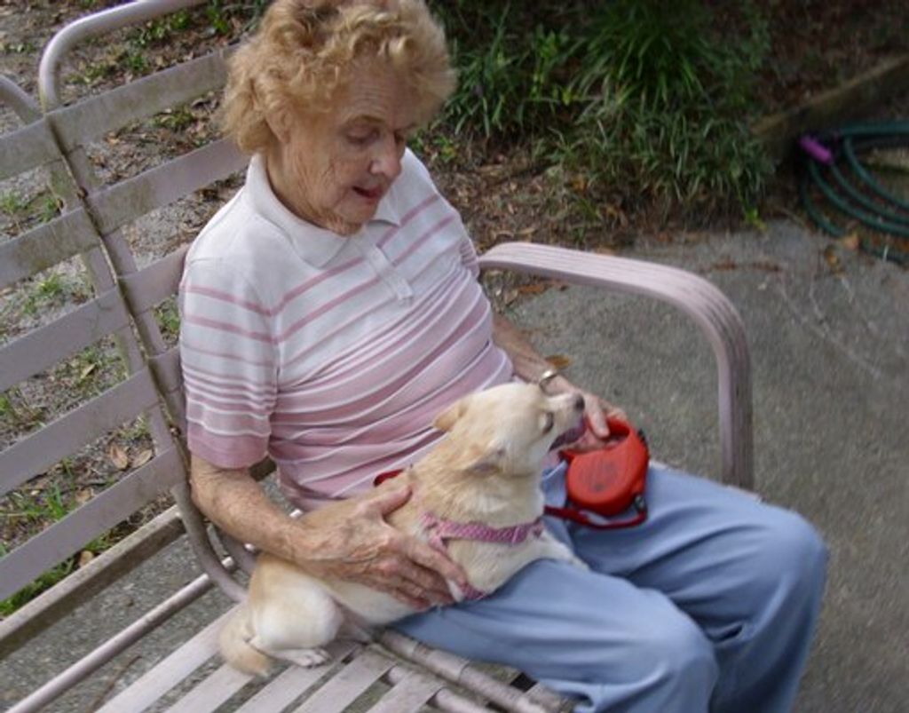 Ann Barfield Burke Profile Photo