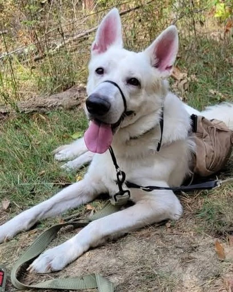 Maverick Caudill Profile Photo