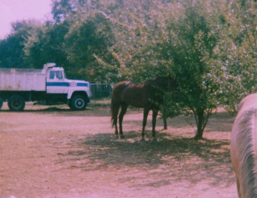 Leroy D. Stephenson photo gallery thumbnail 24 of 114