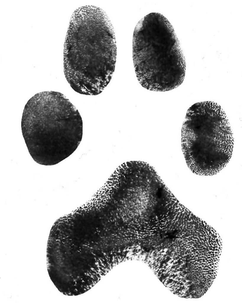 Tobin Dunning Profile Photo