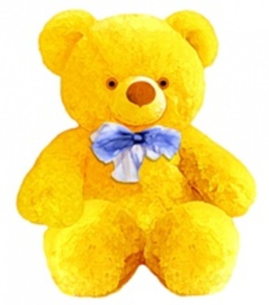 Elena Claire And Matthew Blake Costilow Profile Photo