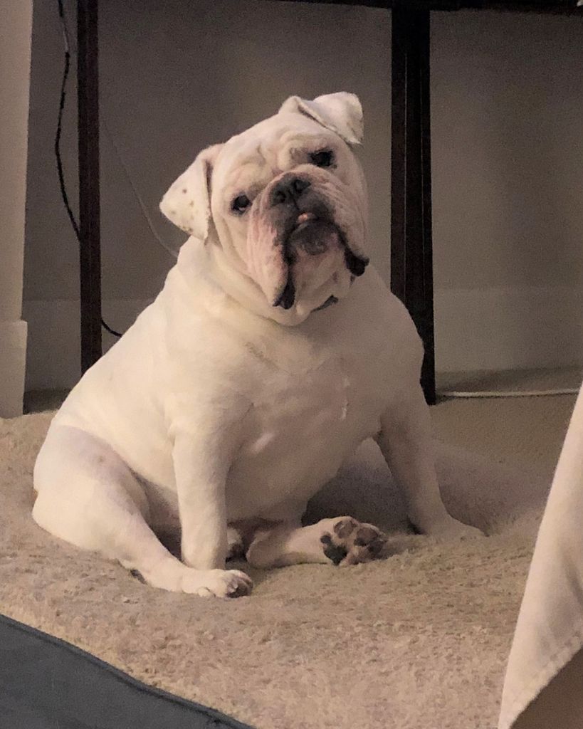 Winston