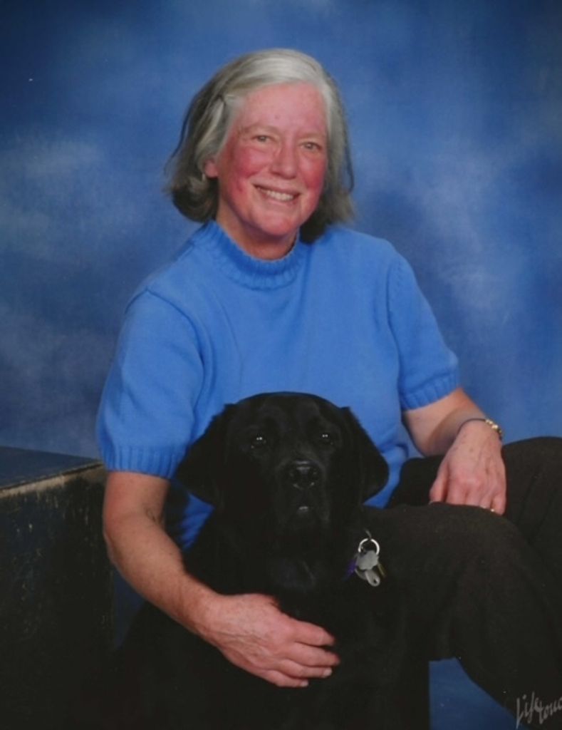 Lucy Pulling Cutting