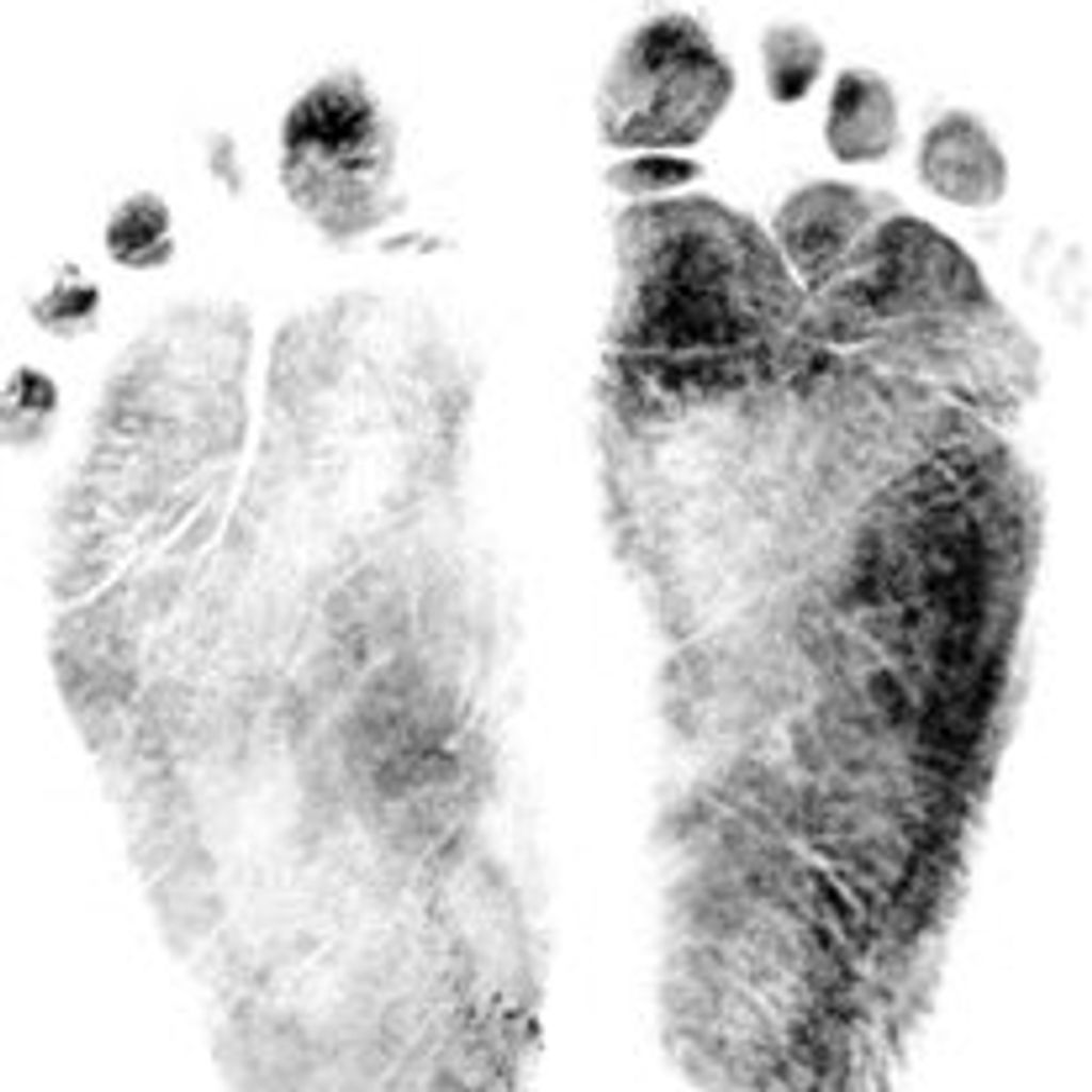 Lauren Elizabeth Feeser