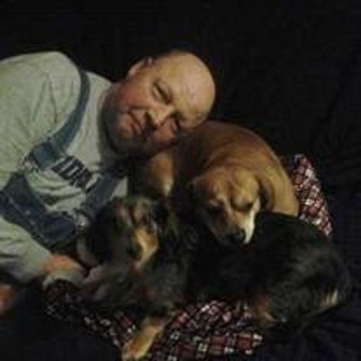 Mark Wiles Profile Photo