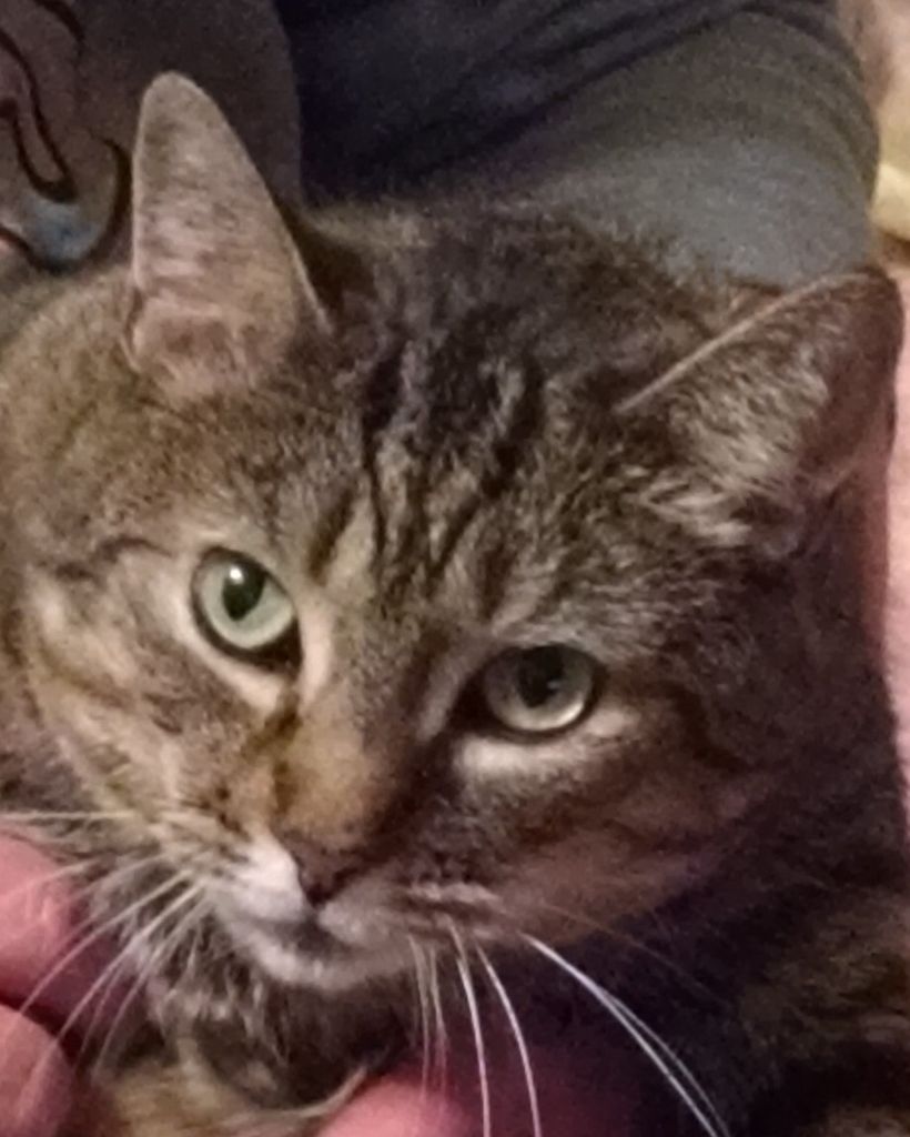 Daphne Lynn Bond-Brickey
