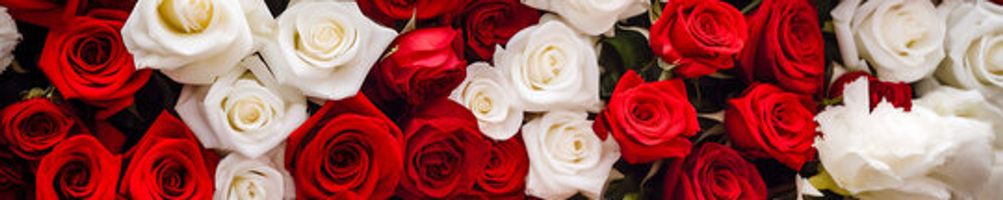 Cover for Charmaine Anita James's Obituary