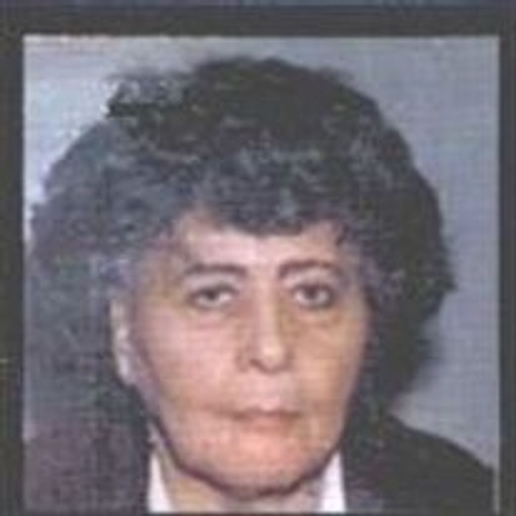 Ann L. Conner